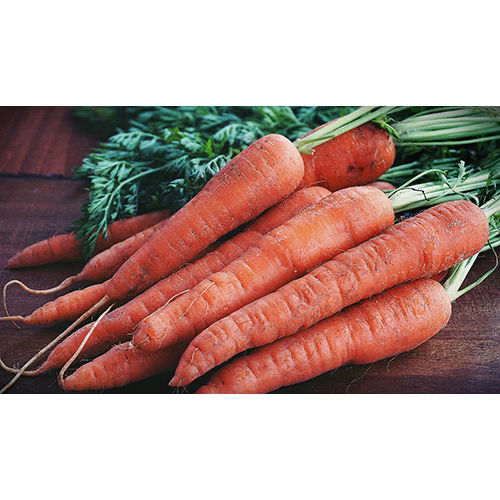 Red Carrot