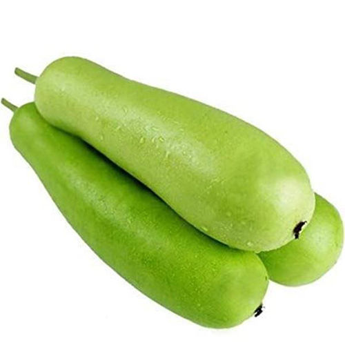 Bottle Gourd