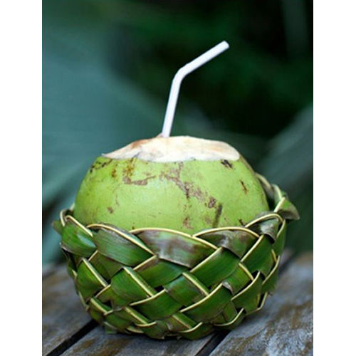 Fresh Green Coconut