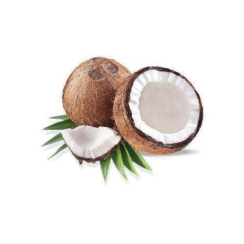 High Quality Fresh Coconut