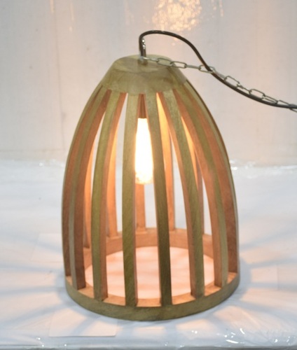 16 Inch Light Pendant