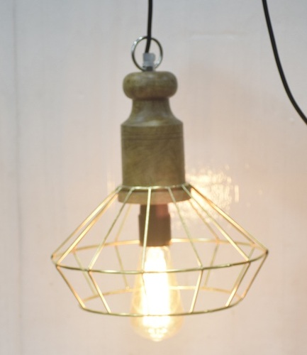 13 Inch Light Pendent