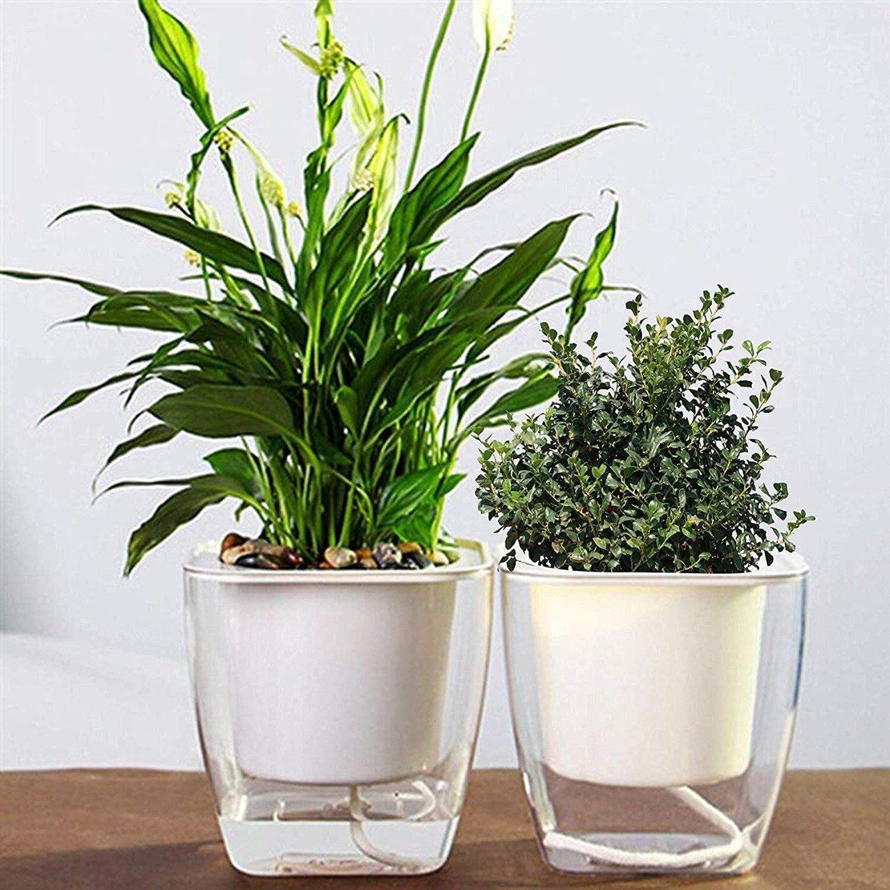 5 Inch Plastic Automatic Watering Planter With Transparent Pot