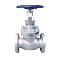As Per Requirement Steam Globe Valve