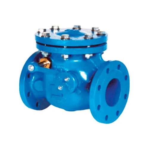 Blue Ss Non Return Valve