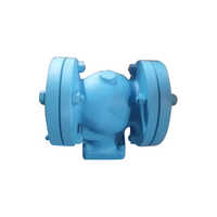 Cast Iron Industrial Non Return Valve - Color: As Per Requirement
