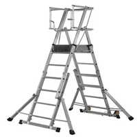 Portable MS Platform Ladder