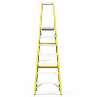 Frp Warehouse Platform Ladder