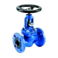 Globe Valve
