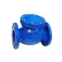 Swing Check Valve
