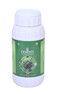 Redhet (SUCKING PEST)