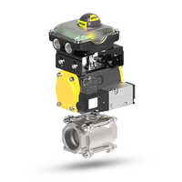 Screwed Socket Weld Ball Valve