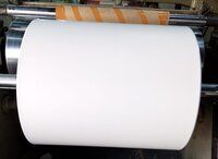 PE Coated Paper Rolls - PE Coated Reals for Paper Cup Blank