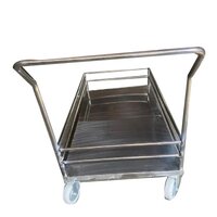 Portable Stainless Steel Platform Trolley