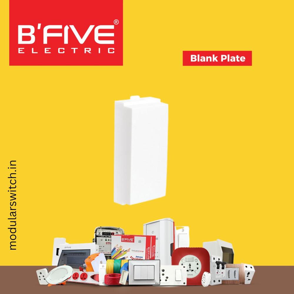 Switch Plate | Blank Plate - Application: Electrical And Electronic Installations