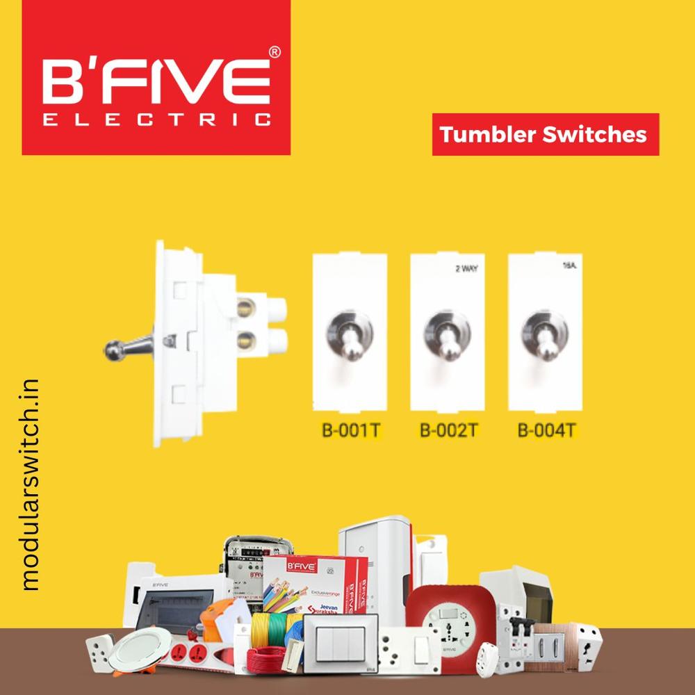 Electric Switch | Tumbler 6 And 16 Amp Switches - Color: White