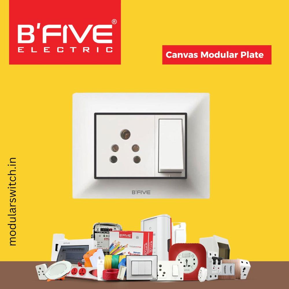 Switch Plate | Canvas Modular Plates