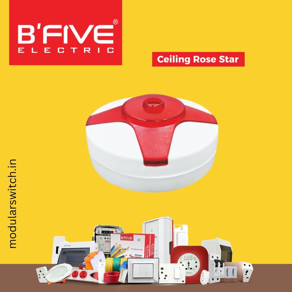 B250 Ceiling Rose Star