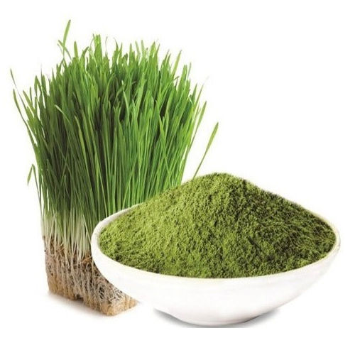 Organic Barley Grass Powder