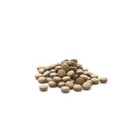 Avipattikar Churna Tablets - Age Group: For Adults