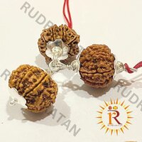 Siddh Kaal Sarp Dosh Nivaran Rudraksha Kavach