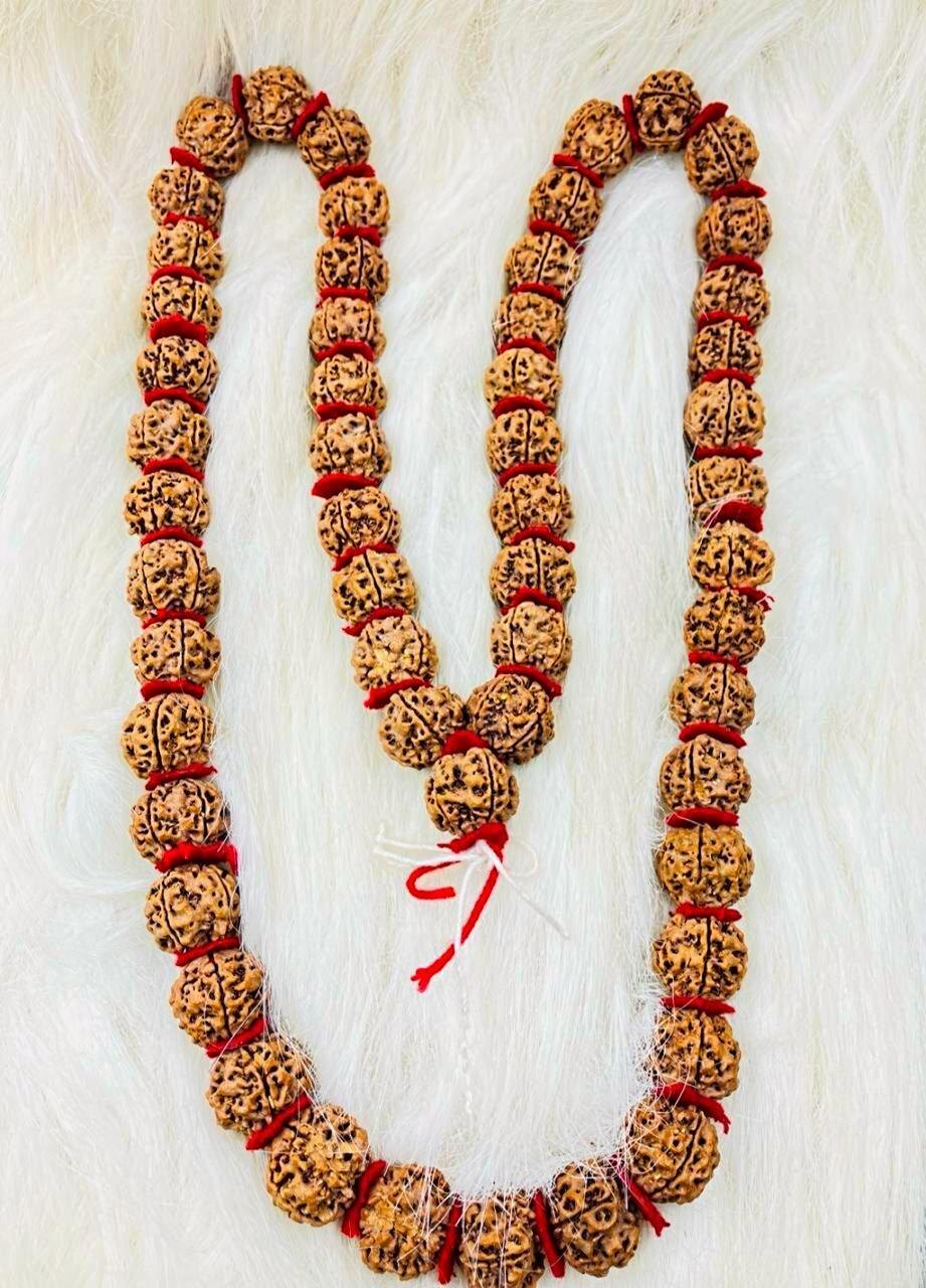 5 Mukhi Rudraksha kantha Mala (52 beads)