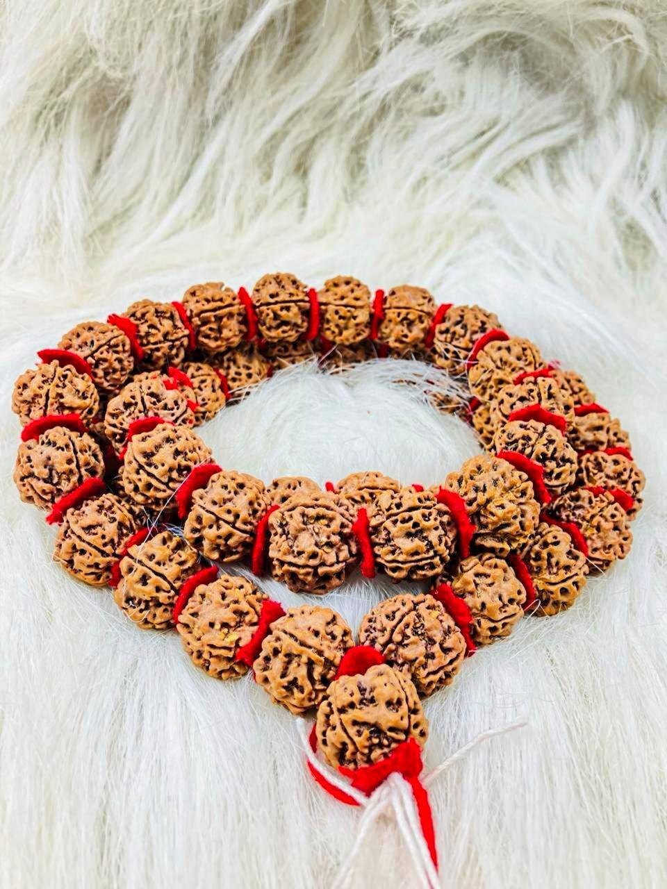 5 Mukhi Rudraksha kantha Mala (52 beads)