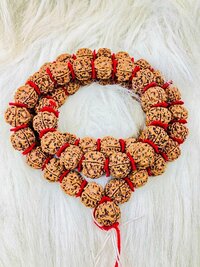 5 Mukhi Rudraksha kantha Mala (52 beads)