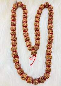 5 Mukhi Rudraksha kantha Mala (52 beads)