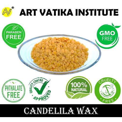 Candelila Wax Pellets