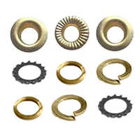 BRASS CUP STAR SPRING WASHER