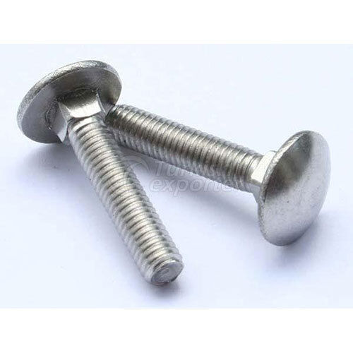 Silver Ss Carriage Bolt