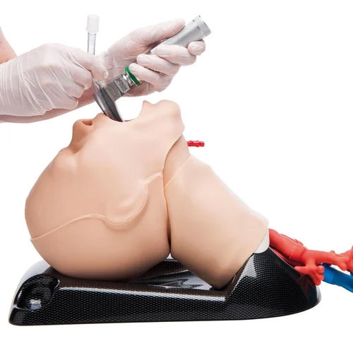 Natural Adult Intubation Head Airway Management Trainer Mannequin