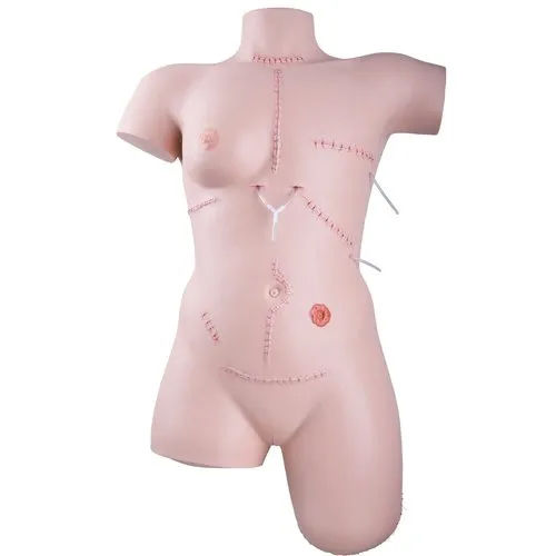 Wound Care And Bandaging Techniques Trainer Mannequin