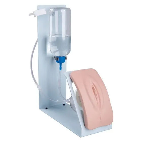 Female Catheterization Simulator Basic Mannequin