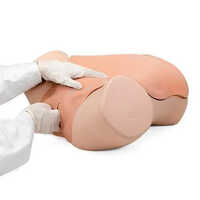 Pelvic Skill Trainer Mannequin