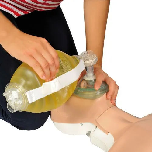 CPR Training Model Torso Mannequin