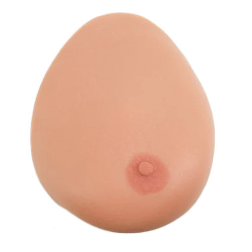 Breast Examination Model