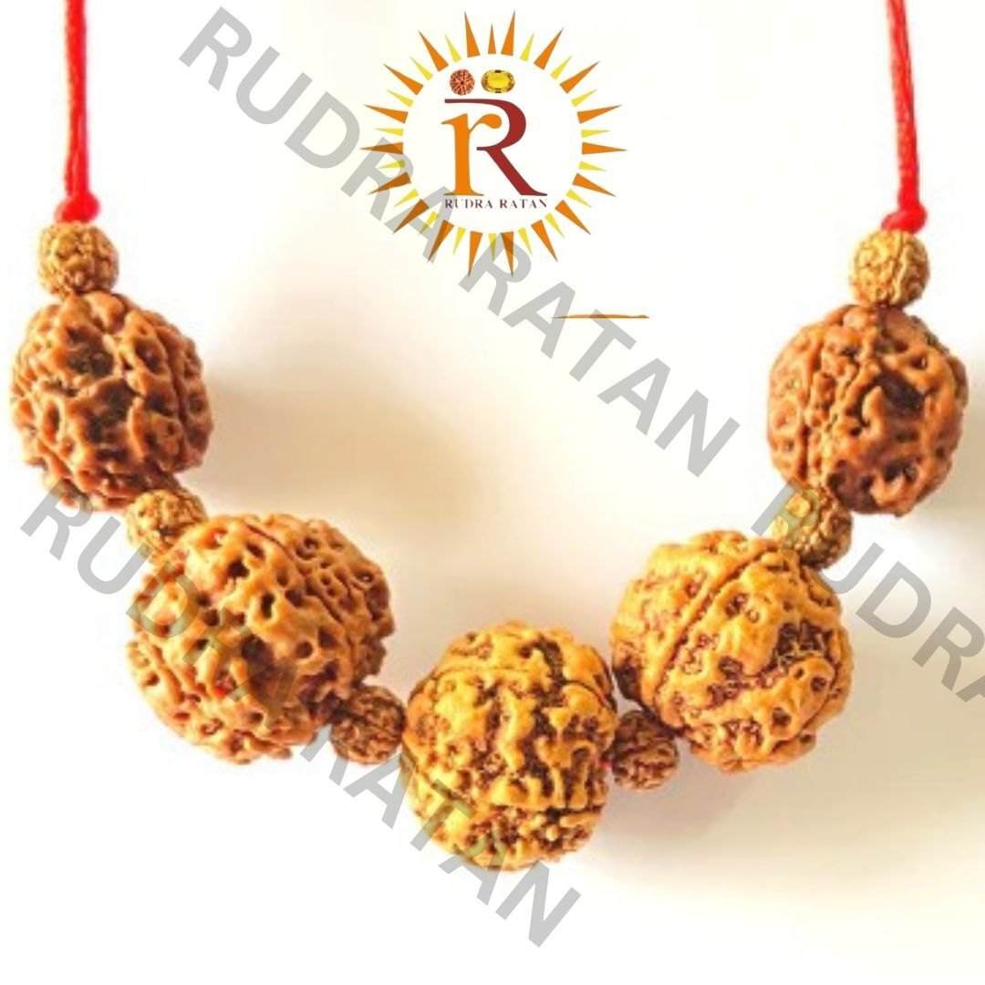 Siddh Health Rudraksha Kavach