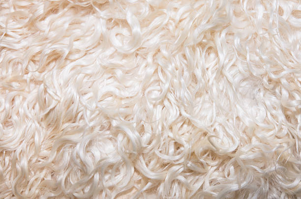 Natural Wool Fabric