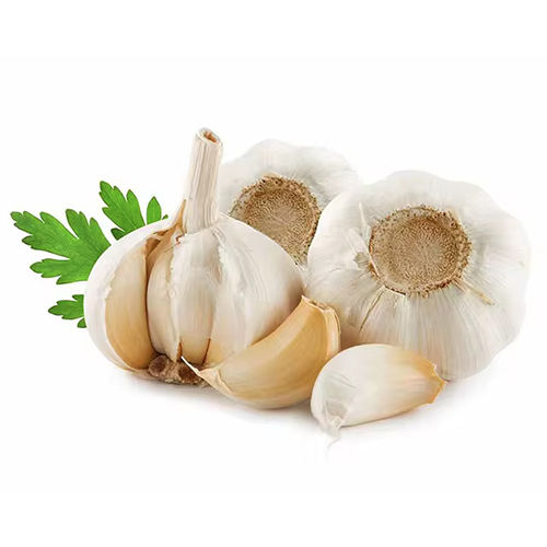 High Quality Fresh Garlic