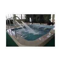 स्विमिंग पूल स्पा नोज़ल