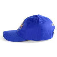 Men Polyester Cap - High-quality Polyester, Customized Fit For All Sizes, Classic Blue Color, Ideal For Summer Activities 