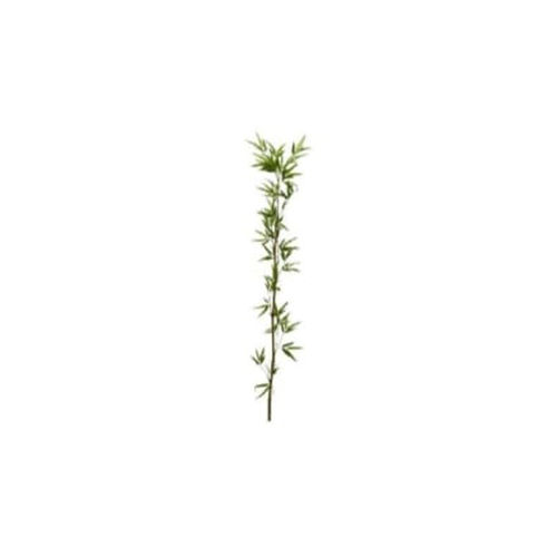 2mm Single Bamboo 6.5 Ft And 8.5 Ft Without Pot Use: Home Decoration