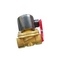Water Solenoid Valve - Brass Construction, Threaded Connection, Black Finish | Customized Valve Structure For Industrial Water Control