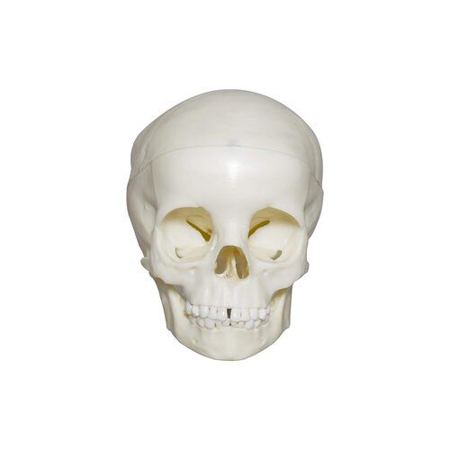 Zx-1207 Skull 5 Yr Old Child Pvc