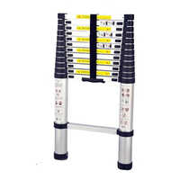 Aluminium Telescopic Ladder - 4-8 Feet & 6-12 Feet Sizes | High-quality Aluminium, Adjustable, Anti-corrosion, Step Ladder Design