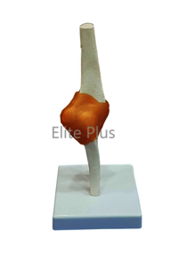 ZX-S112 Elbow Joint Model Flexible