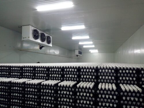 Egg Cold Storage