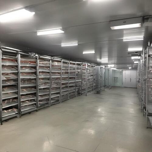 Fish Cold Storage